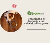 Descifrando el lenguaje y las señales de los gatos