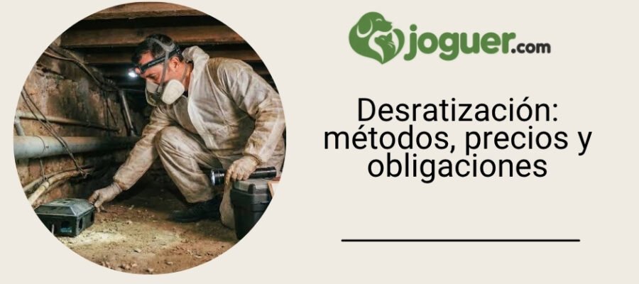 Desratización y desratonización: cómo funciona (precio, método, obligaciones) –