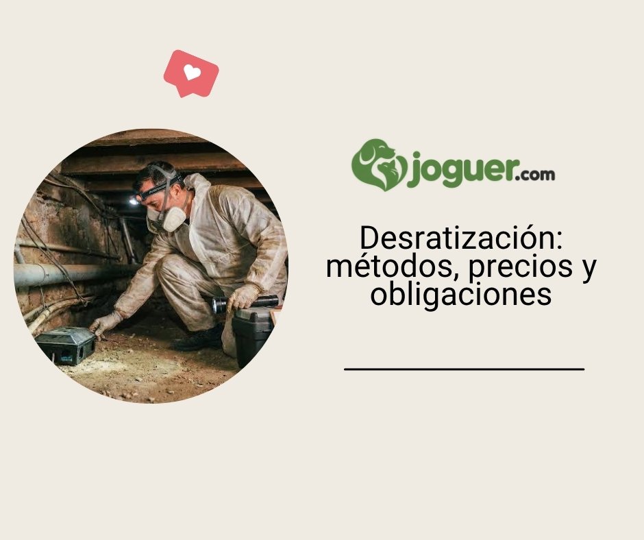 Desratización y desratonización: cómo funciona (precio, método, obligaciones) –