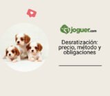 Desratización y desratonización: cómo funciona (precio, método, obligaciones)