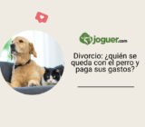 Divorcio: ¿quién se queda con el perro y paga sus gastos?