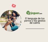 El lenguaje de los perros y los gestos de calma