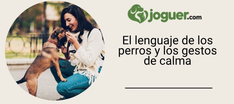 El lenguaje de los perros y los gestos de calma