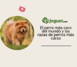 El perro más caro del mundo y las razas de perros más caras