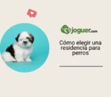 Elegir una residencia para su perro: los criterios a considerar