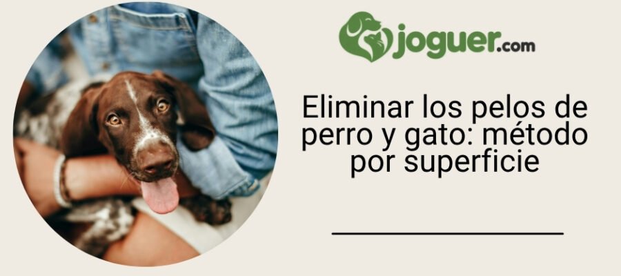 Eliminar los pelos de perro y gato: método por superficie