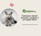 Famosas: tienen encanto, carácter y un toque felino