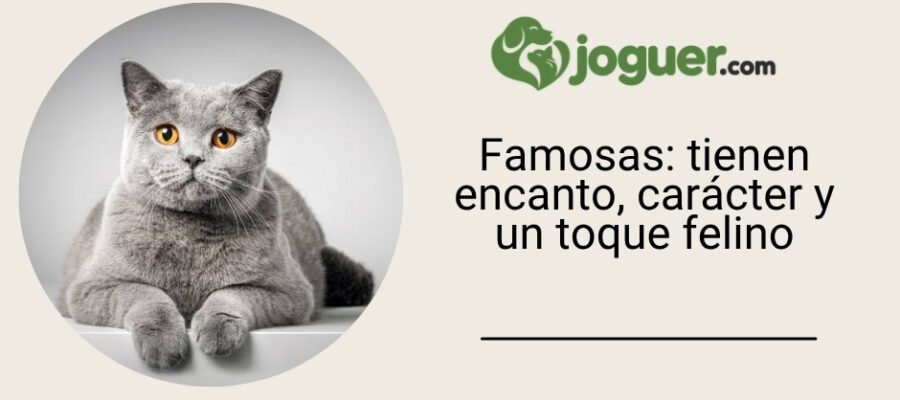 Famosas: tienen encanto, carácter y un toque felino