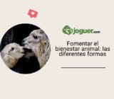 Fomentar el bienestar animal: las diferentes formas