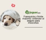 Franquicia y límite máximo: entender el seguro para mascotas