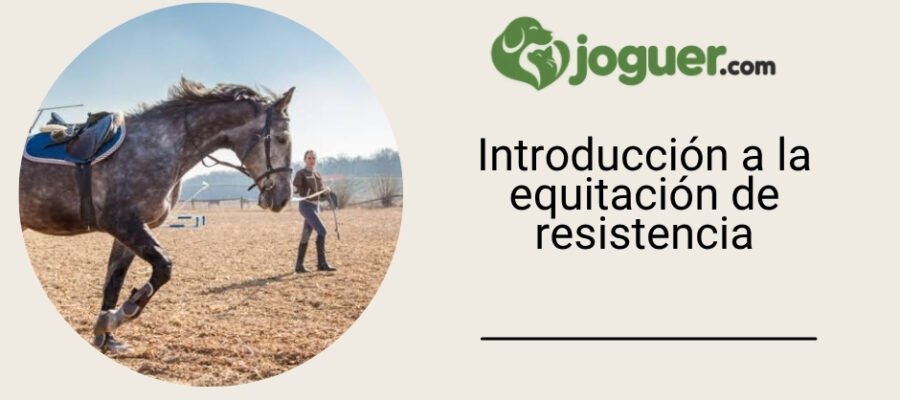 Introducción a la equitación de resistencia