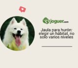 Jaula para hurón: elegir un hábitat, no solo varios niveles