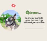 La mejor comida para perros con estómago sensible