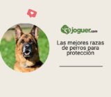 Las mejores razas de perros para protección