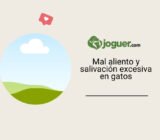 Lo que debes saber sobre el mal aliento y la salivación en los gatos