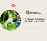 Los 10 signos discretos del cáncer en tu animal –