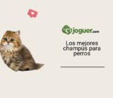 Los mejores champús para perros