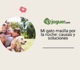 Mi gato maúlla por la noche: un método para entender y actuar