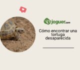 Mi tortuga de alcantarilla Dalaran ha desaparecido: guía para recuperarla