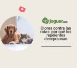 Olores contra las ratas: por qué los repelentes decepcionan