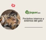 Parásitos internos y externos del gato