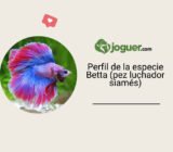 Perfil de la especie Betta (pez luchador siamés)