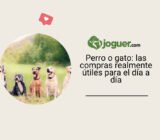 Perro o gato: las compras realmente útiles para el día a día