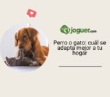 Perro o gato: ¿qué mascota se adapta mejor a tu hogar? –