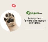Perro policía: función y formación en Francia