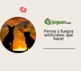 Perro y fuegos artificiales: qué hacer antes, durante y después