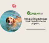 Por qué los médicos recomiendan tener un perro