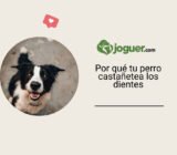 ¿Por qué mi perro castañetea los dientes y qué puedo hacer al respecto?