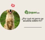 Por qué mi perro se acuesta sobre mí: causas y soluciones suaves