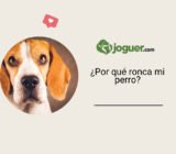 ¿Por qué ronca mi perro?
