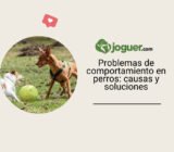 Problemas de comportamiento en perros: causas y soluciones