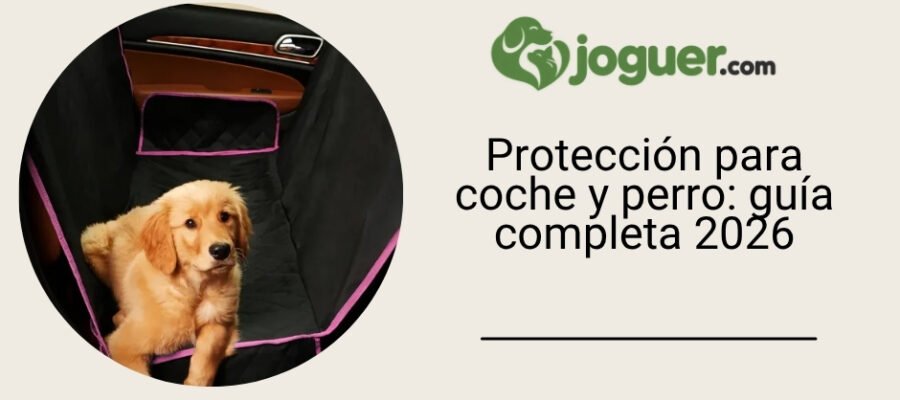 Protección para coche y perro: guía completa 2026