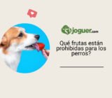Qué frutas están prohibidas para los perros?