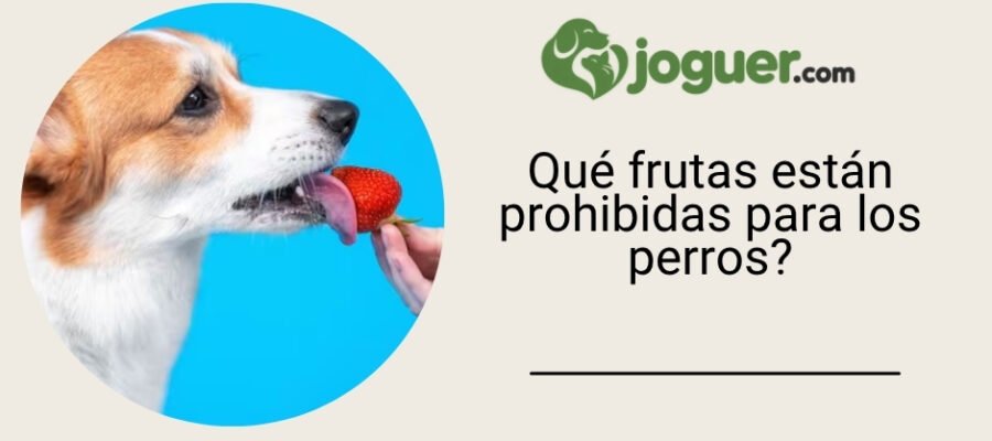 Qué frutas están prohibidas para los perros?