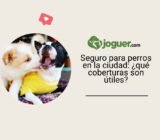 Seguro para perros en la ciudad: ¿qué coberturas son útiles?