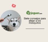 Siete consejos para alejar a los mosquitos