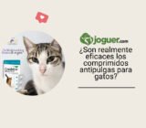 ¿Son realmente eficaces los comprimidos antipulgas para gatos?
