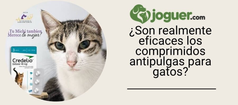 ¿Son realmente eficaces los comprimidos antipulgas para gatos?