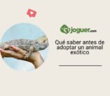 Todo lo que necesitas saber antes de adoptar un animal exótico –