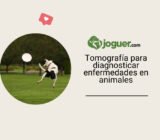 Tomografía computarizada en el diagnóstico de enfermedades en animales