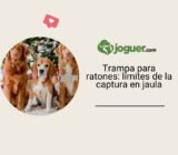 Trampa viviente para ratones: los límites de la captura en jaula