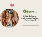 Uñas del perro: cuándo cortarlas y cómo hacerlo