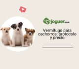 Vermífugo para cachorros: protocolo y precio