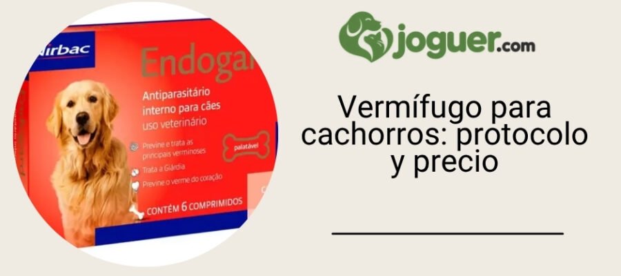 Vermífugo para cachorros: protocolo y precio