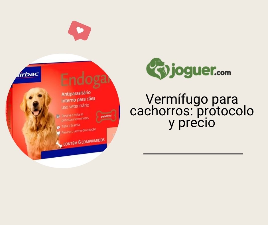 Vermífugo para cachorros: protocolo y precio