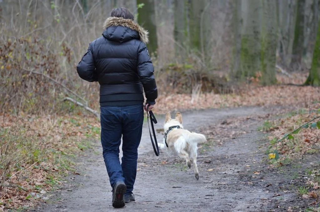 Personne agée qui promène son chien